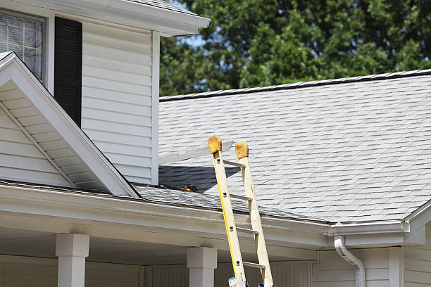 Best Carpet Removal and Disposal  in Williamstown, KY
